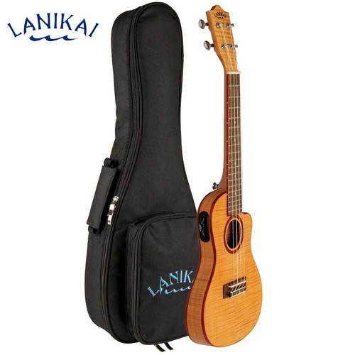 Ukulele elettrico acustico