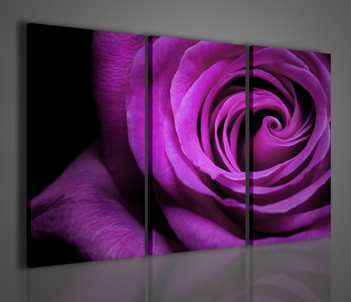Quadri moderni blue rose - moderni, ii