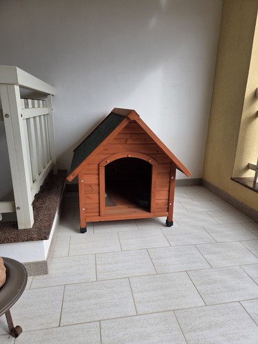 Cuccia per cani - esterno, usata