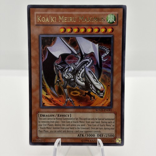 Koa ki meiru maximus - meiru,