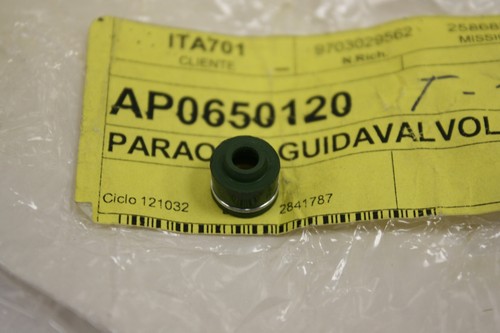 Paraolio valvola