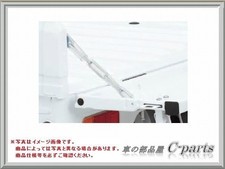 Suzuki Genuine Parts Carry