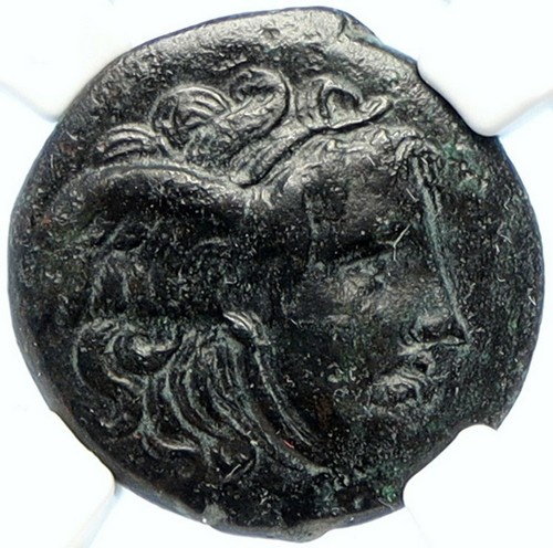 Seleukos nikator 312bc - nikator,