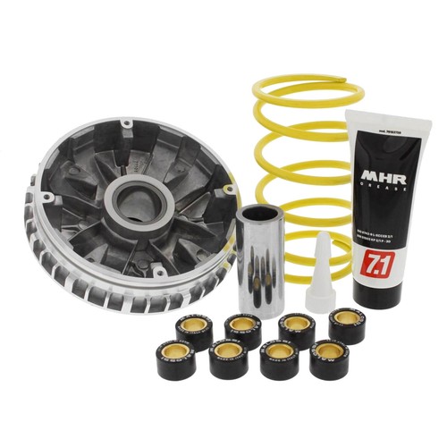 Mf1694 variatore malossi - mf1694,