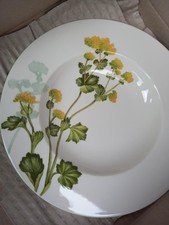 piatti VILLEROY & BOCH Collazione Botanica Nuovi con Scatola