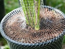 RETE TUBOLARE COLORATA X