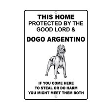 DOGO ARGENTINO DOG Casa