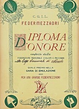 Gg797 noceto diploma - gg797-noceto, (parma)