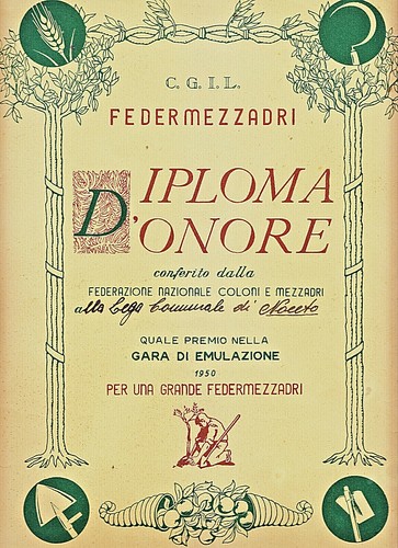 Gg797 noceto diploma - (parma),