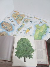 teaching material vintage