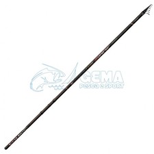 Canna bolognese colmic - canna,