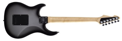Peavey raptor custom - raptor®,