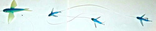 Margherita catena pesce - margherita,