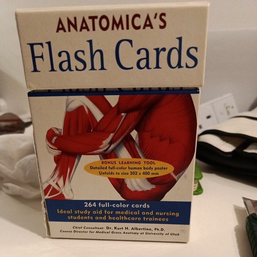 Anatomica anatomy - ⭐️, anatomica's