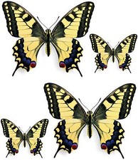 4x sticker adesivi adesivo pc