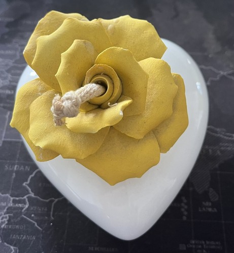 Rosa porcellana capodimonte - in,