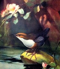 STAMPA 1952 ROBERTO LEMMI