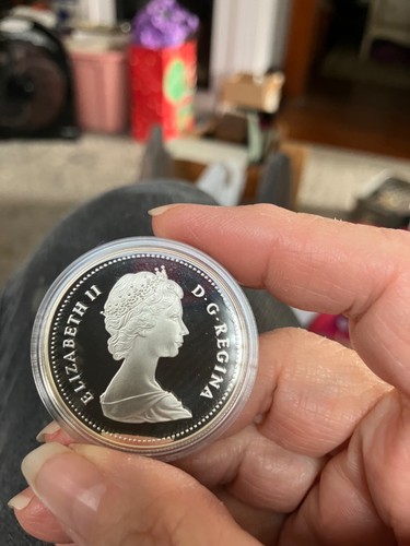 Royal canadian mint dollaro - royal,