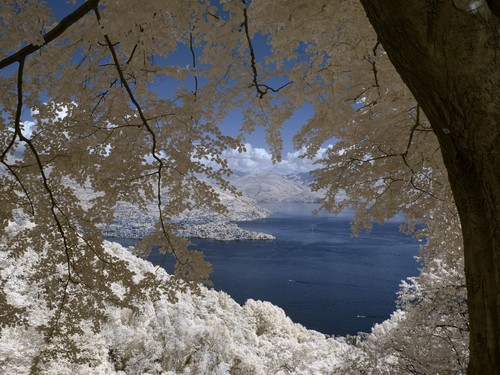 Panasonic lumix micro 4 3 - lumix,