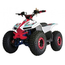 Mini Quad E-ATV LEM Grizzly