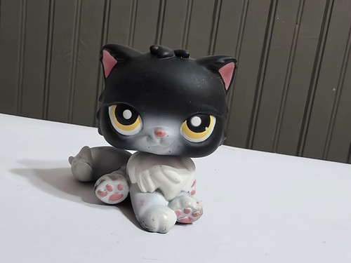 Littlest pet shop gatto - littlest,