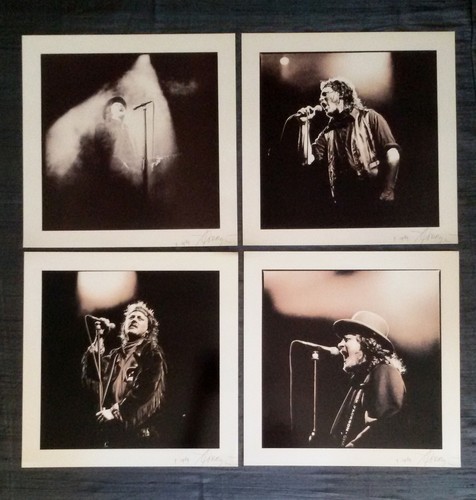 Zucchero collection - "collection",