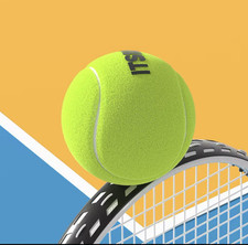 Palline Tennis / Palla Tennis