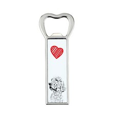 Setter inglese apriporta con