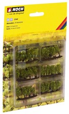 NOCH 21540 - Vigneto con 24