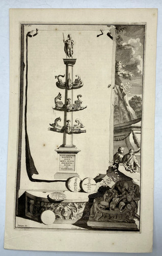 Colonna rostrata gaio - rostrata, di