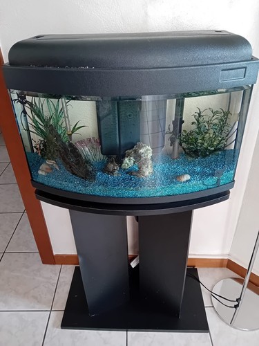 Venduto acquario completo - ---,