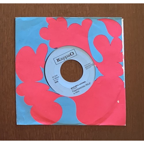 Fisarmonicista pelè vinile - fisarmonicista,
