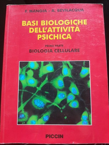 Basi biologiche dell attivita - basi, dell'attivita