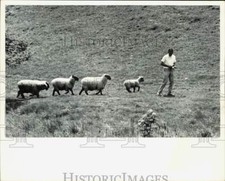 1965 foto stampa - 1965,
