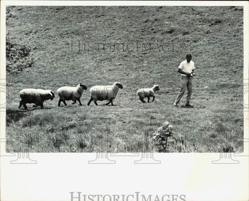 1965 foto stampa carl - 1965,