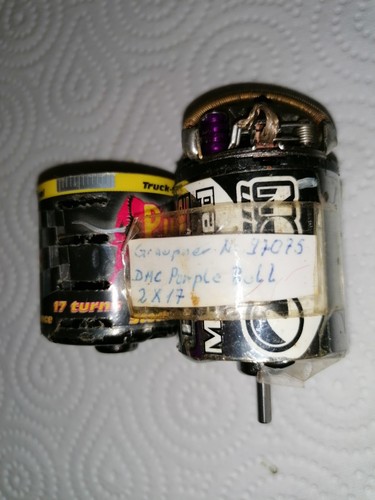 Team orion purple bull - rc,