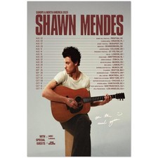 Poster arte concerto shawn - arte,