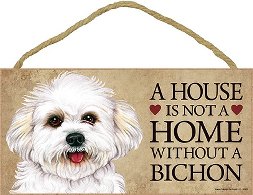 Bichon frise casa non a - frise,