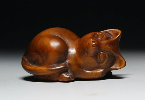 Antico gatto addormentato