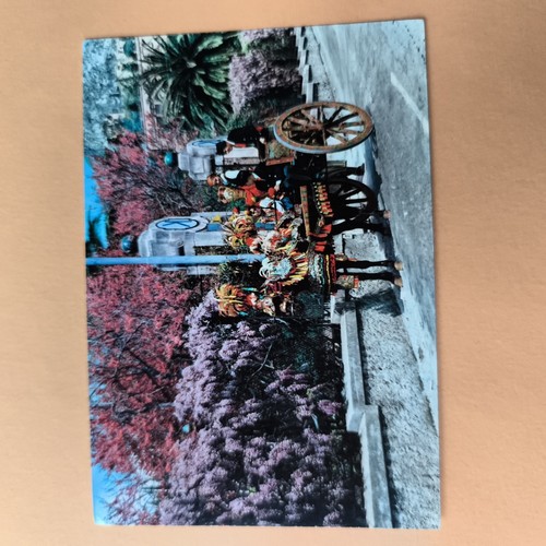 Carretto siciliano cartolina - carretto,