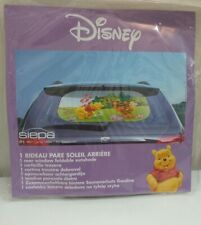 Tendine Parasole Posteriore