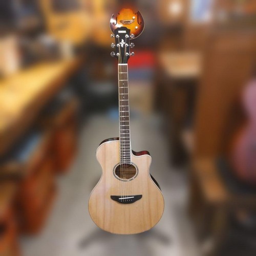 Yamaha apx600 - yamaha,