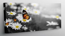 QUADRO MODERNO STAMPA SU TELA QUADRI MODERNI ARTE Margherite Fiori Farfalle T411