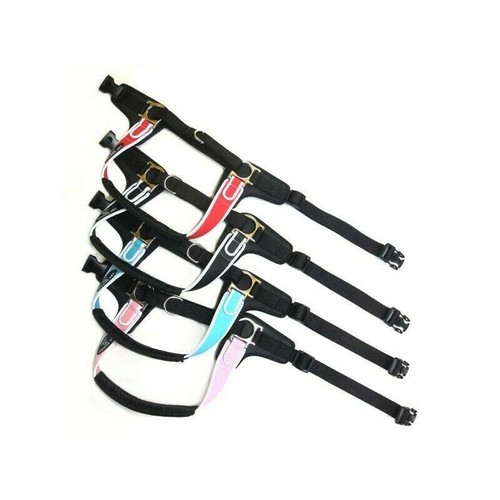 Pets pettorina tre ponti - pets,
