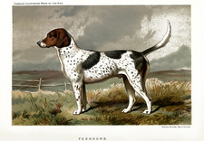 Poster classico foxhound - poster,