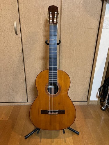 Chitarra acustica classica