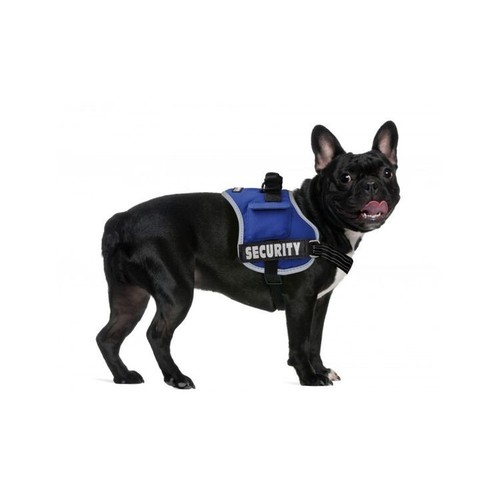 Imbracatura pettorina cani - imbracatura,