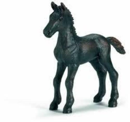 Cavallo puledro frisone - puledro,
