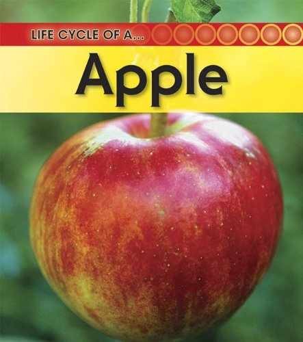 Life cycle apple - life,