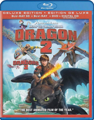 How train your dragon 2 - how, to